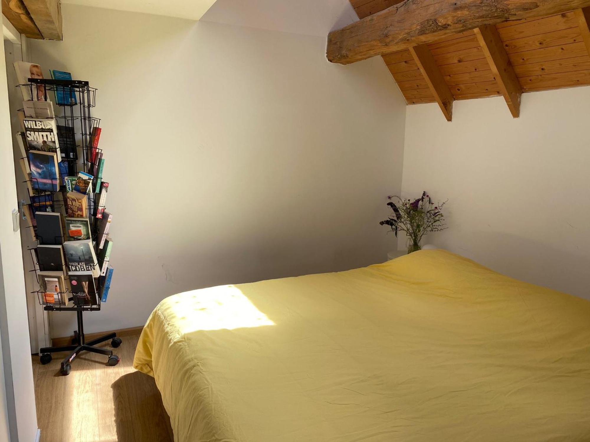 Bed and Breakfast Tanti Baci! Маастрихт Экстерьер фото
